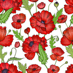 Seamless pattern with poppies. Colorful hand drawn background.