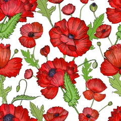 Printed kitchen splashbacks Poppies Seamless pattern with poppies. Colorful hand drawn background.