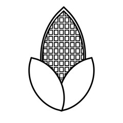 corn vegetable icon over white background. vector illustration