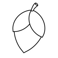 acorn icon over white background. vector illustration