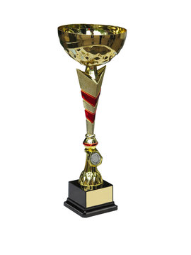 champion golden trophy cup isolated on white