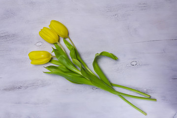 Floral background, floral background: three yellow tulips on old white wooden background with copy space for your text. The concept of Easter, spring, wedding, women's day or Mother's Day
