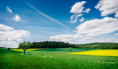 Panorama - Frühlingslandschaft mit Rapsfeld in Hessen