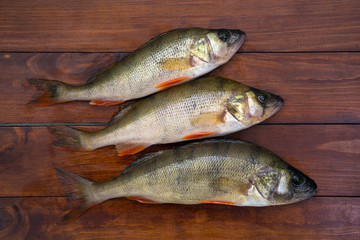 A few fresh perch fish on a wooden surface