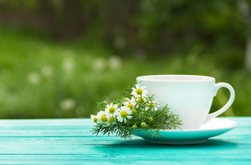 A cup of fragrant chamomile tea in the garden. A useful hot drink with chamomile flowers. Natural medicine. Copy space