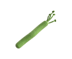 helicobacter pylori 3d render image on white
