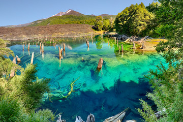 Lago Arcoiris at Conguillio N.P. (Chile) - HDR panorama