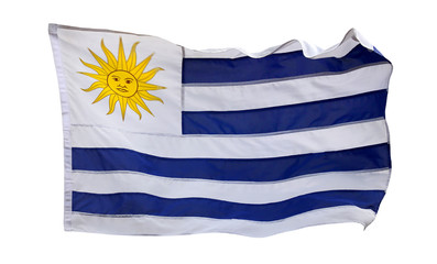 Flag of Uruguay - isolated on white background