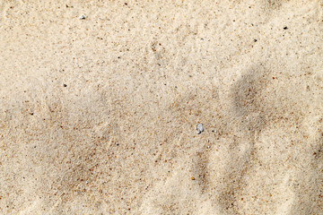 Beautiful yellow sand