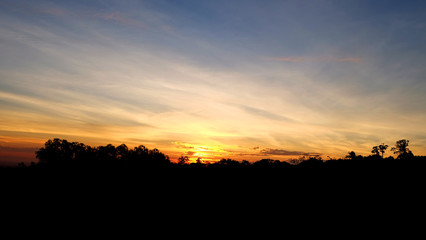 silhouette shot image of tree and sunset sky in background