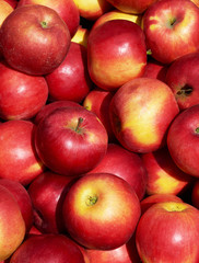 Red apples background on a bright sunny day.