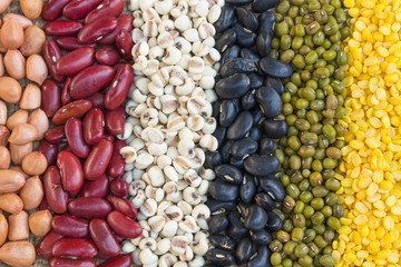 Different kinds of bean seeds 