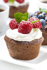 sweet chocolate cupcakes with fresh berries for dessert, vertical closeup