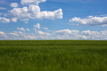 Feld mit blauem Himmel und Wolken. Sommertag in Dortmund Neuasseln