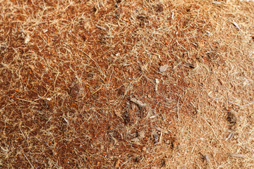 ground