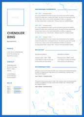 CV template. Minimalist resume, web page, job application, skills presentation.