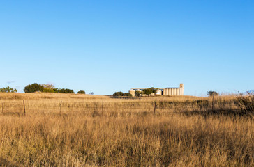 Autumn Grass against Rural Agrucultural Grain Silos Landscape