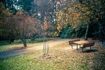 Empty picnic table in a beautiful Autumn garden settings with yellow and orange trees and foliage