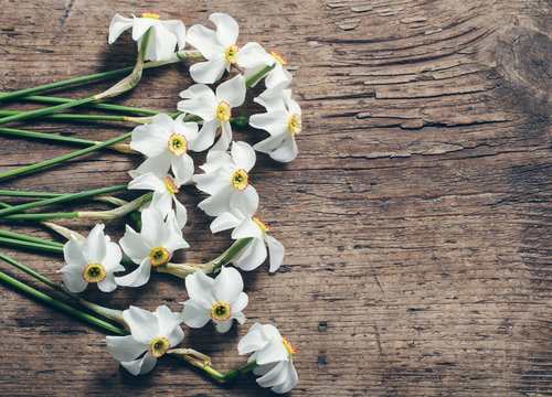 Fototapeta narcissus on wooden background