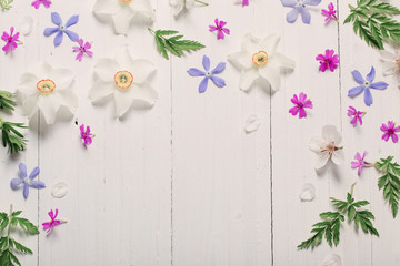 spring flowers on white wooden background