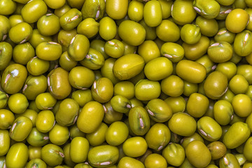 Green beans, mung