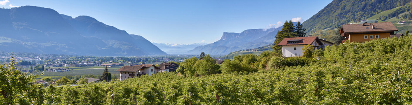 Algund, S&uuml;dtirol, Panorama