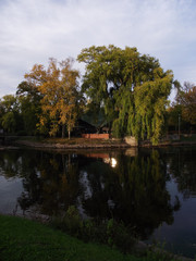 Obraz premium Ontario lake canal inside Toronto Island Park