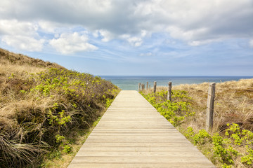 Fototapeta premium Path to the beach of Kampen, Sylt