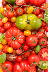 colorful tomatoes