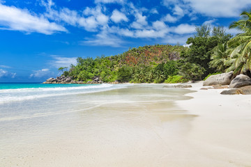 Wide tropical sandy beach Seychelles