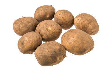 有機栽培のじゃがいも　Organically grown potatoes