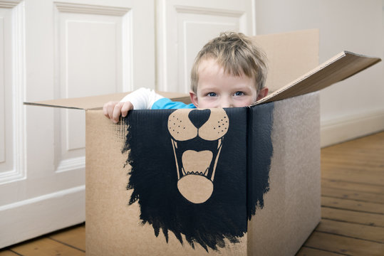 Boy inside a cardboard box painted with a lion