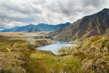 landscape with mountains, forest and a river in front. beautiful scenery