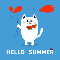 Hello summer. White cat holding red balloon, watermelon. Ladybug insect. Cute cartoon character. Greeting card. Funny pet animal collection. Flat design. Blue background.