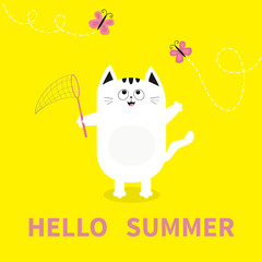 Hello summer. White cat Pink butterfly insect, net. Dash line track.. Cute cartoon character. Greeting card. Funny pet animal collection. Flat design. Yellow background.