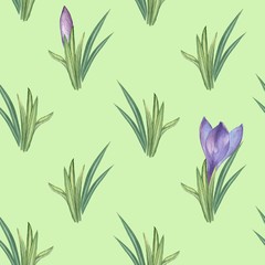  Herbal bushes and crocuses 2. Watercolor illustration. Hand-drawing.  isolated on white