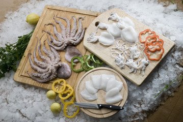 fresh raw baby squid and baby octopus with colour peppers on wooden board with ice 