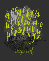 Fototapeta premium Hand drawn vector abstract textured set with graphic ink palm leafs and handwritten green lettering calligraphic tropical script font isolated on black chalkboard background