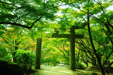 福岡の竈門神社の鳥居