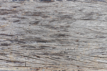Fototapeta premium wood texture