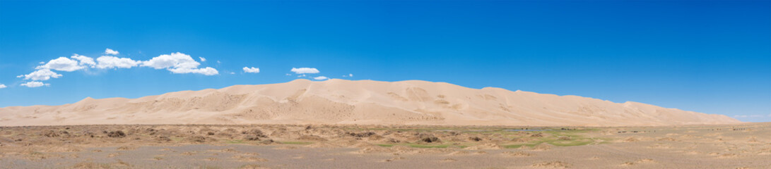 Fototapeta na wymiar majestic mongolia prairie with mountains on background at cloudy day 