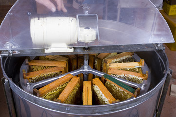 Macchinario per smielatura