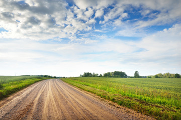 Gravel road in Latvia countryside on a cloudy summer day in green fields