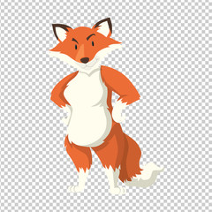 Wild fox standiing on transparent background