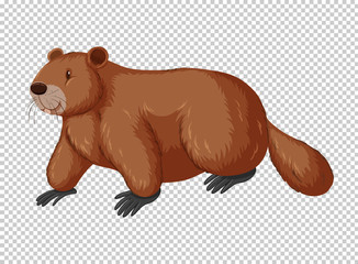 Brown beaver on transparent background