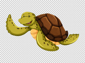 Sea turtle on transparent background
