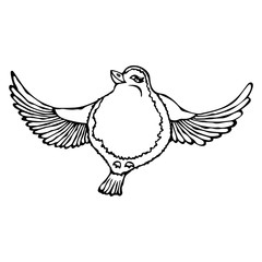 Cute Adorable Bird Flying. Isolated On a White Background Doodle Cartoon Hand Drawn Sketch Vector