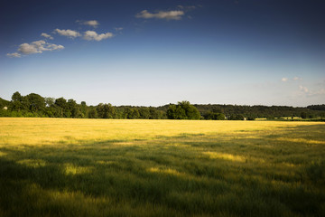 Agriculture