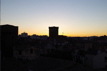 Fototapeta premium Arte y naturaleza