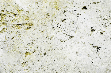 Coquina Stone background texture